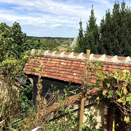 モンルイ・シュル・ロワール La Maison Bleue De Husseau Ancienne Ferme Semi-Troglodytique 18E Siecleヴィラ エクステリア 写真