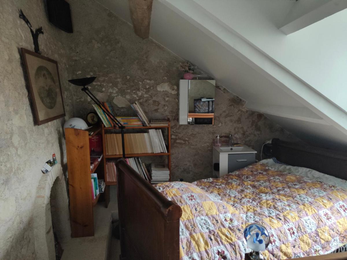 モンルイ・シュル・ロワール La Maison Bleue De Husseau Ancienne Ferme Semi-Troglodytique 18E Siecleヴィラ エクステリア 写真