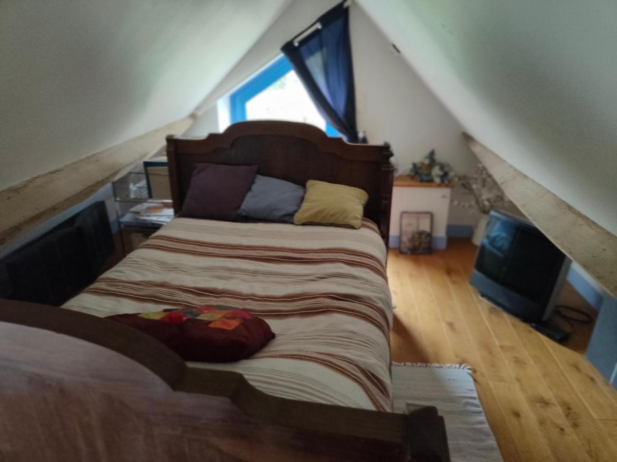 モンルイ・シュル・ロワール La Maison Bleue De Husseau Ancienne Ferme Semi-Troglodytique 18E Siecleヴィラ エクステリア 写真