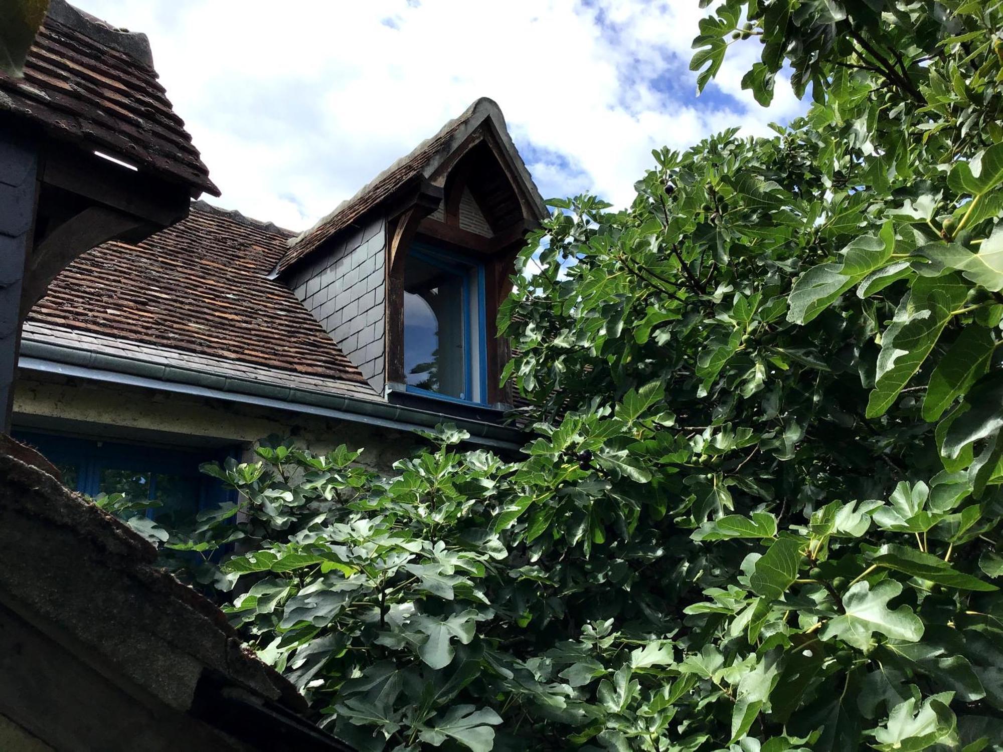 モンルイ・シュル・ロワール La Maison Bleue De Husseau Ancienne Ferme Semi-Troglodytique 18E Siecleヴィラ エクステリア 写真
